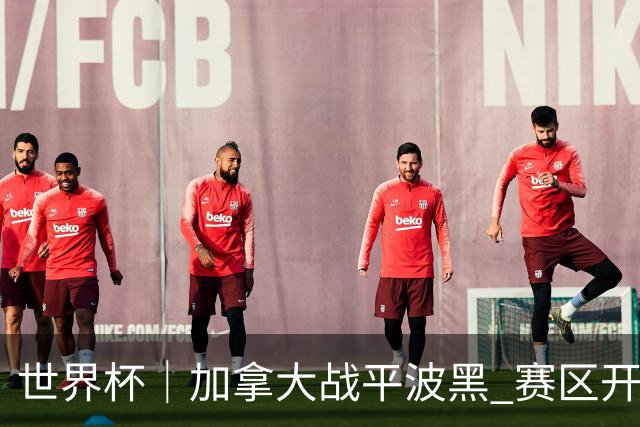 世界杯｜加拿大战平波黑 赛区开幕式表演“翻车”